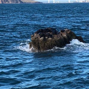 Meet your Posher, Roberto